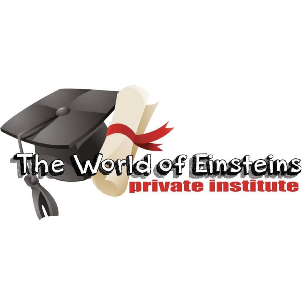 gokids-logo-2565-the-world-of-einsteins-private-institute-8a5bab04ae.jpg