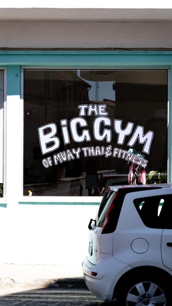 gokids-logo-2665-the-big-gym-of-muay-thai-and-fitness-6db9729329.jpg