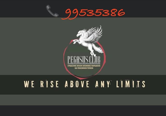 gokids-logo-2674-cyprus-bujinkan-dojo-4902864ebd.jpg